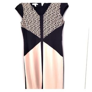 London Times Fitted Animal print 8P